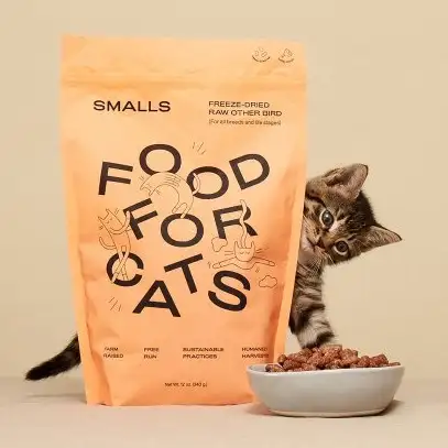 Kitten with Smalls Cat Food